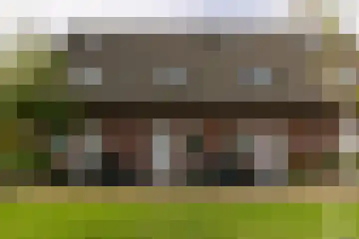 Veenmos 12 Wehl