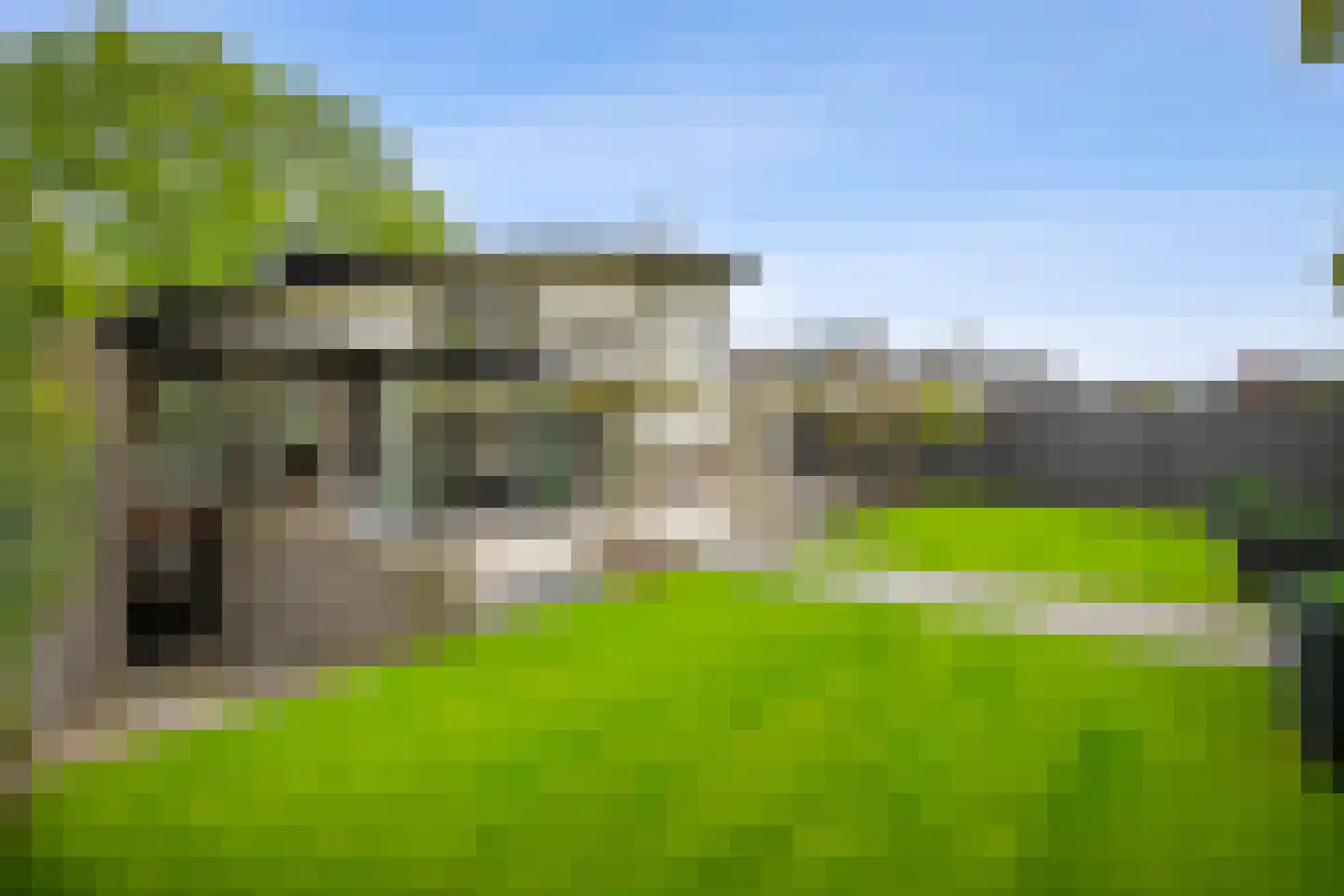 Veenmos 2 Veenendaal