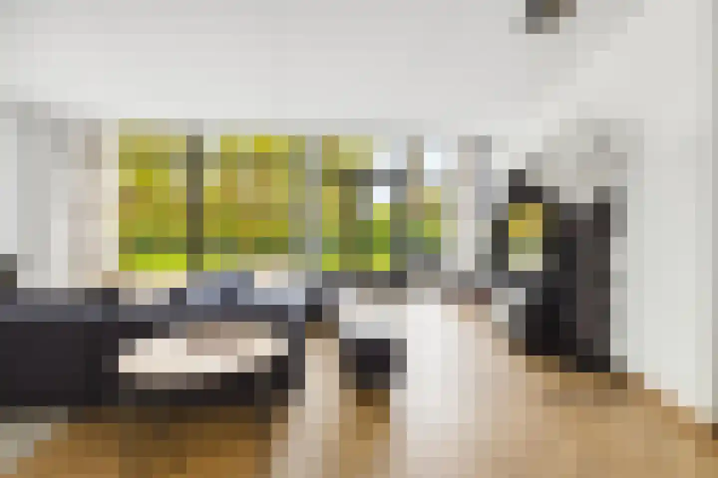 Veenmos 2 Veenendaal thumbnail 11