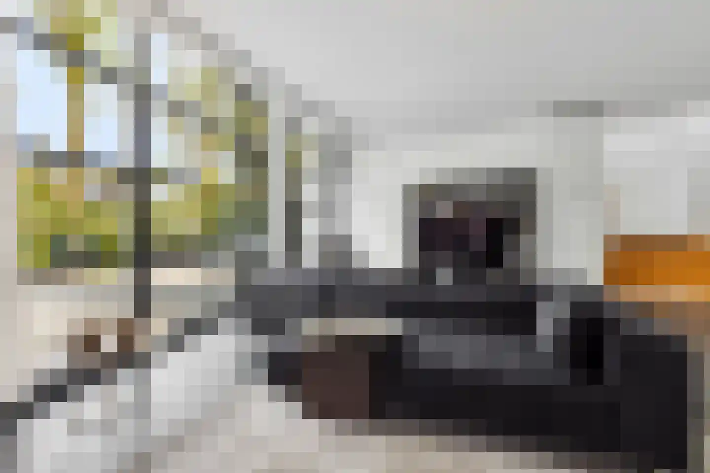 Veenmos 2 Veenendaal thumbnail 13