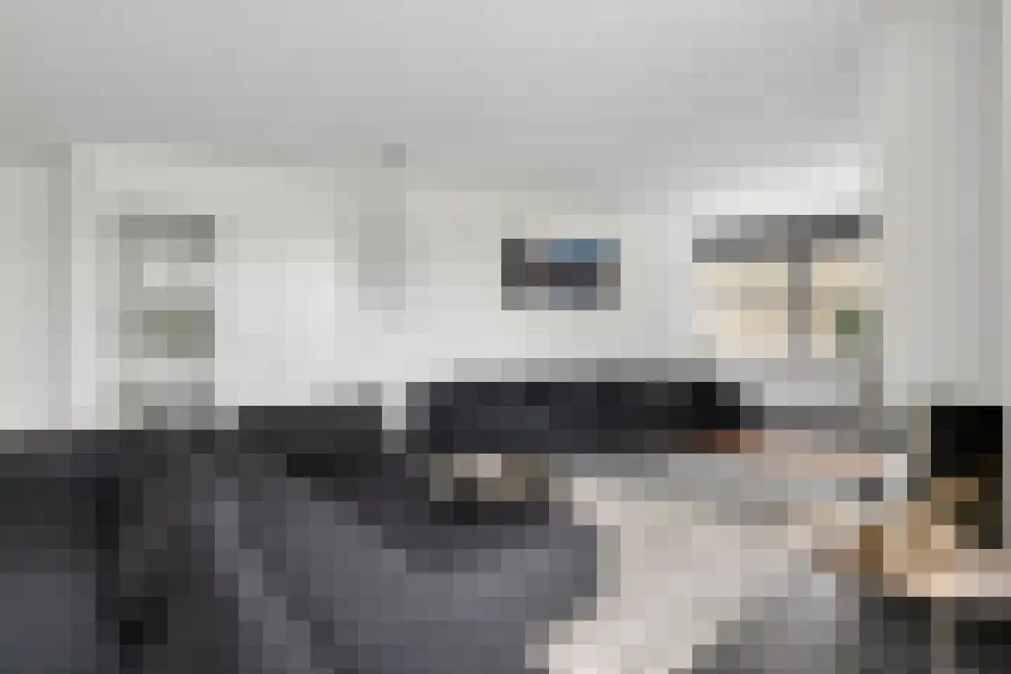 Veenmos 2 Veenendaal thumbnail 14