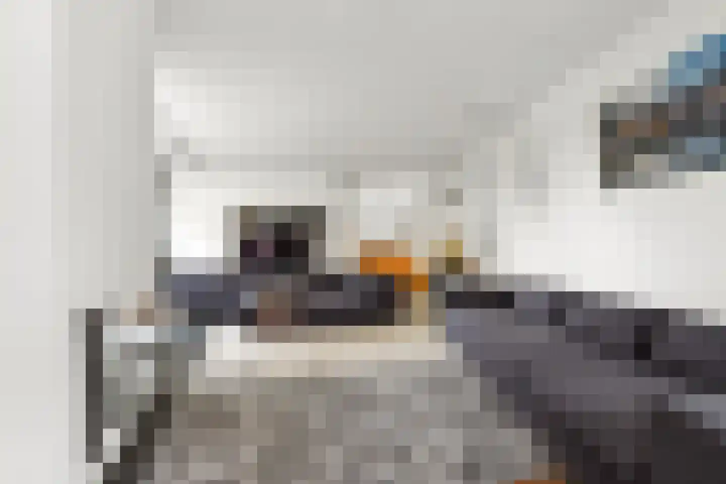 Veenmos 2 Veenendaal thumbnail 16