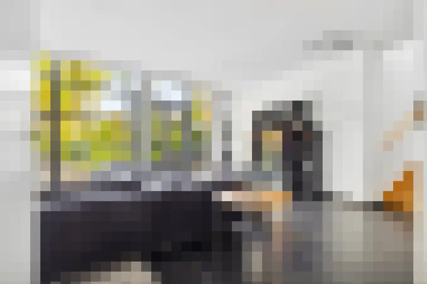Veenmos 2 Veenendaal thumbnail 17