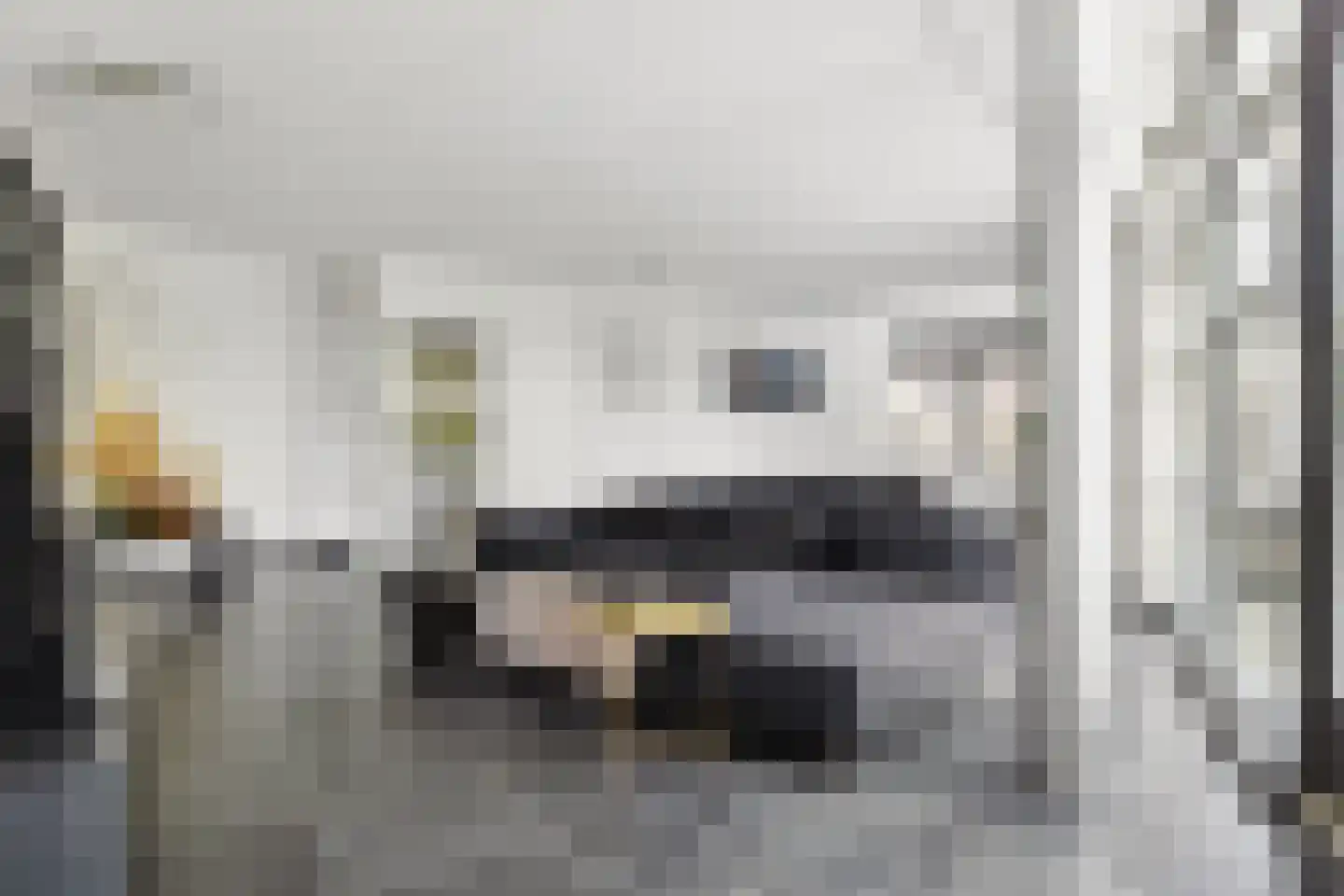 Veenmos 2 Veenendaal thumbnail 19
