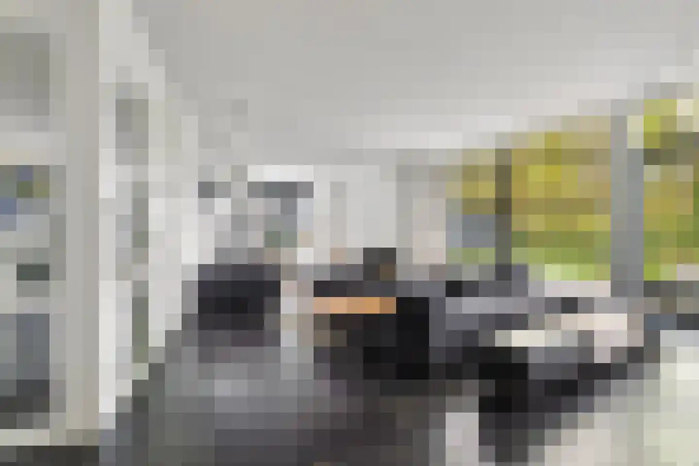 Veenmos 2 Veenendaal thumbnail 20
