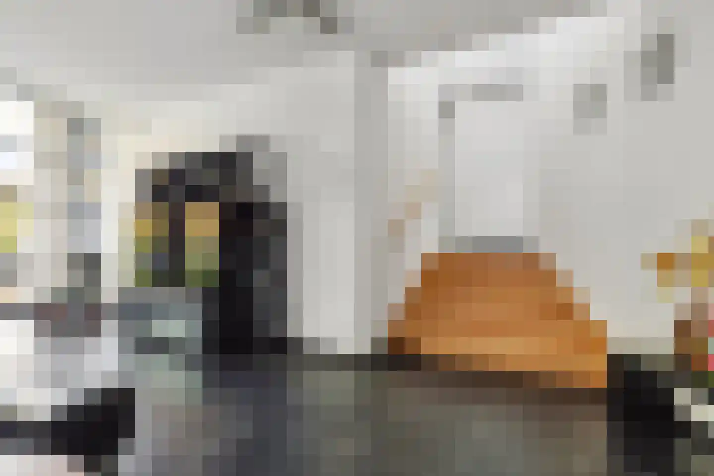 Veenmos 2 Veenendaal thumbnail 21