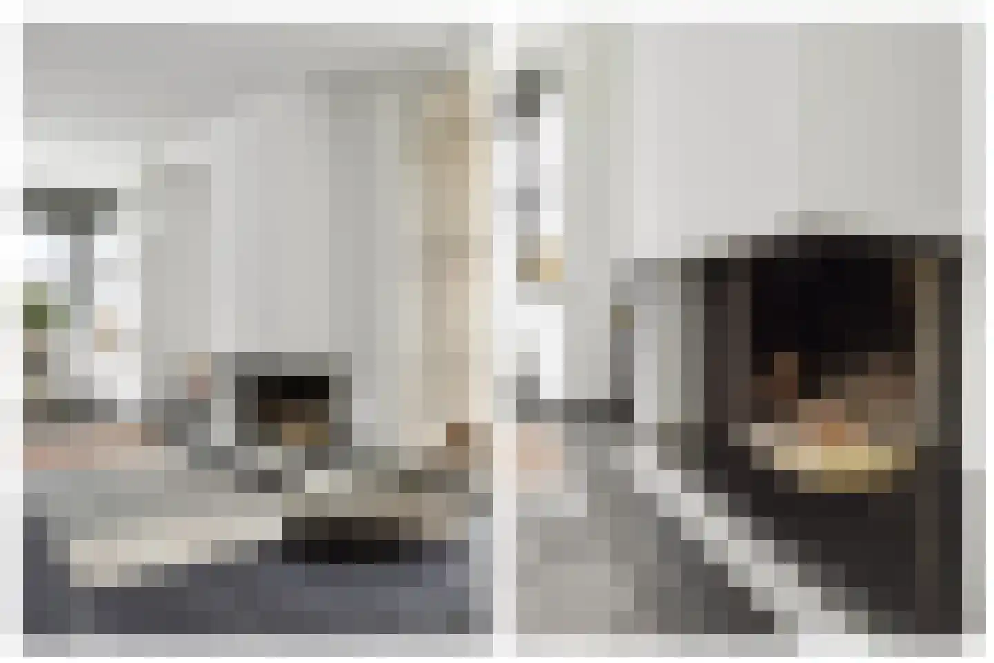 Veenmos 2 Veenendaal thumbnail 22