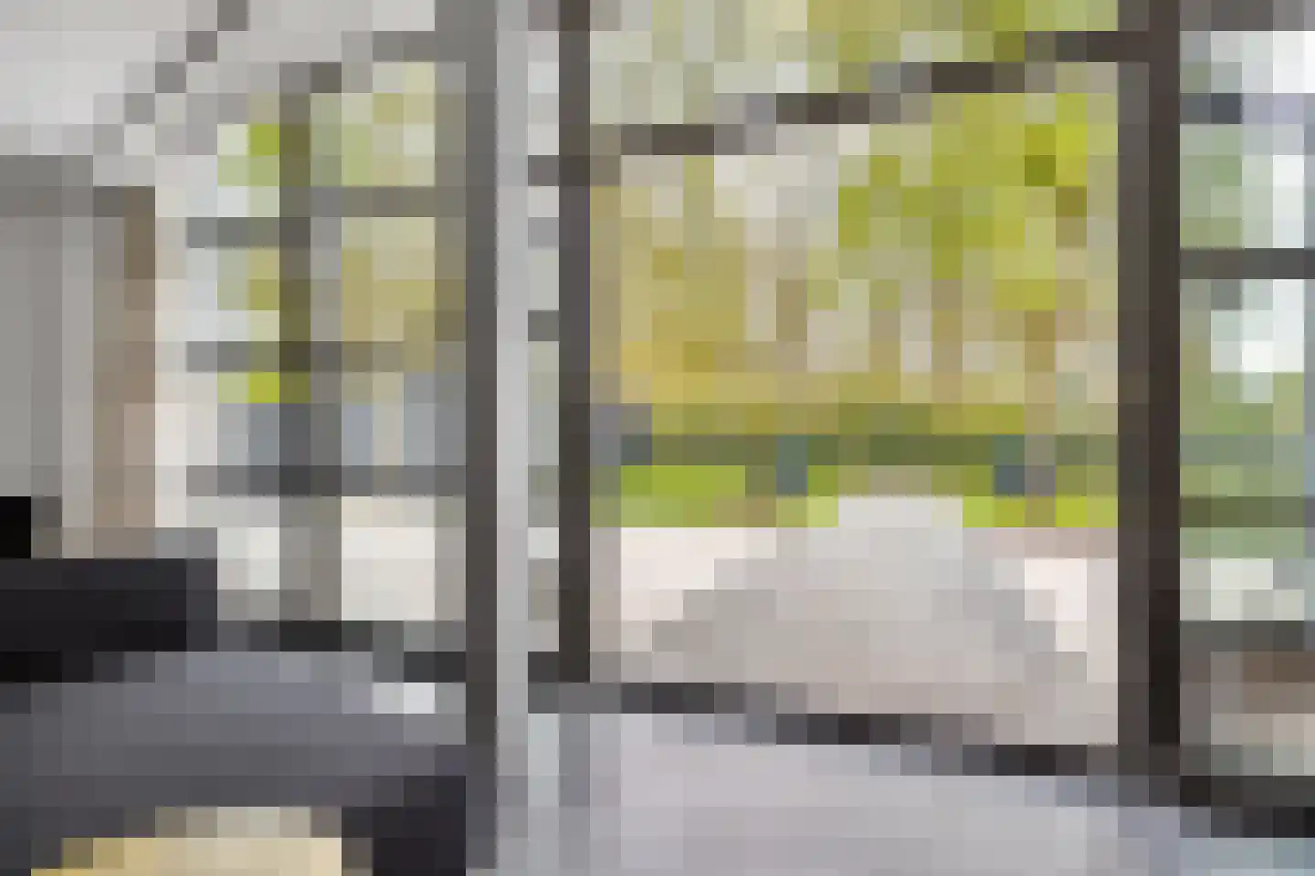 Veenmos 2 Veenendaal thumbnail 23