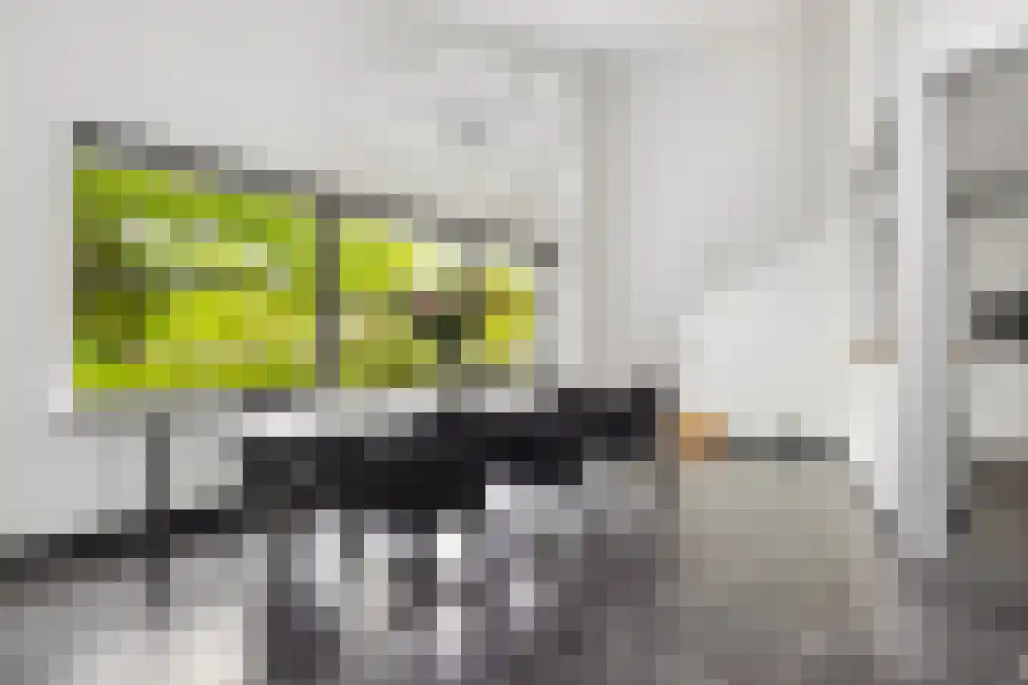 Veenmos 2 Veenendaal thumbnail 24