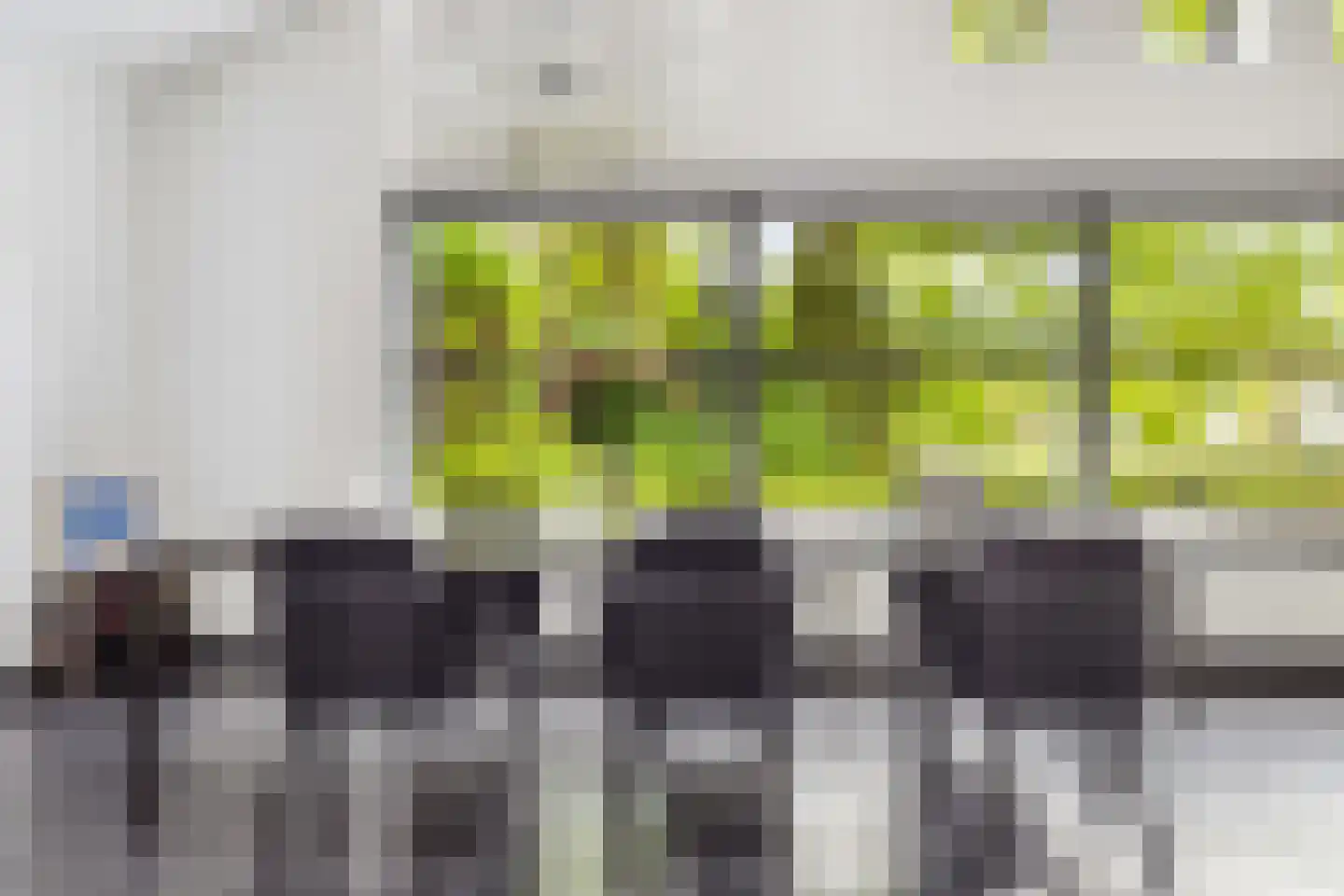 Veenmos 2 Veenendaal thumbnail 27