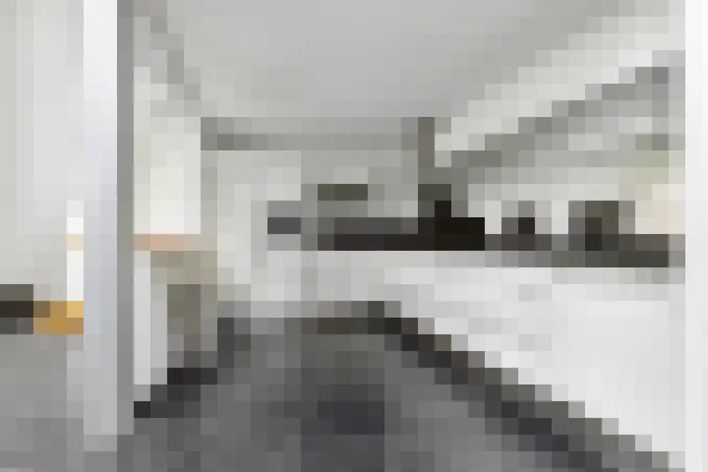 Veenmos 2 Veenendaal thumbnail 28