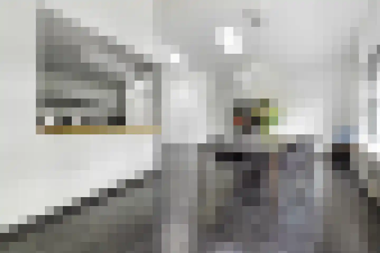Veenmos 2 Veenendaal thumbnail 29