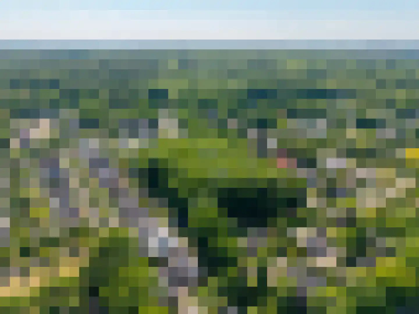 Veenmos 2 Veenendaal foto 3