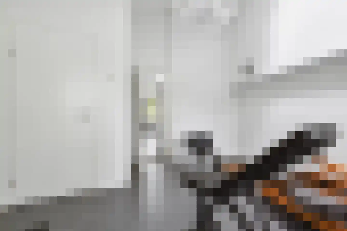 Veenmos 2 Veenendaal thumbnail 31