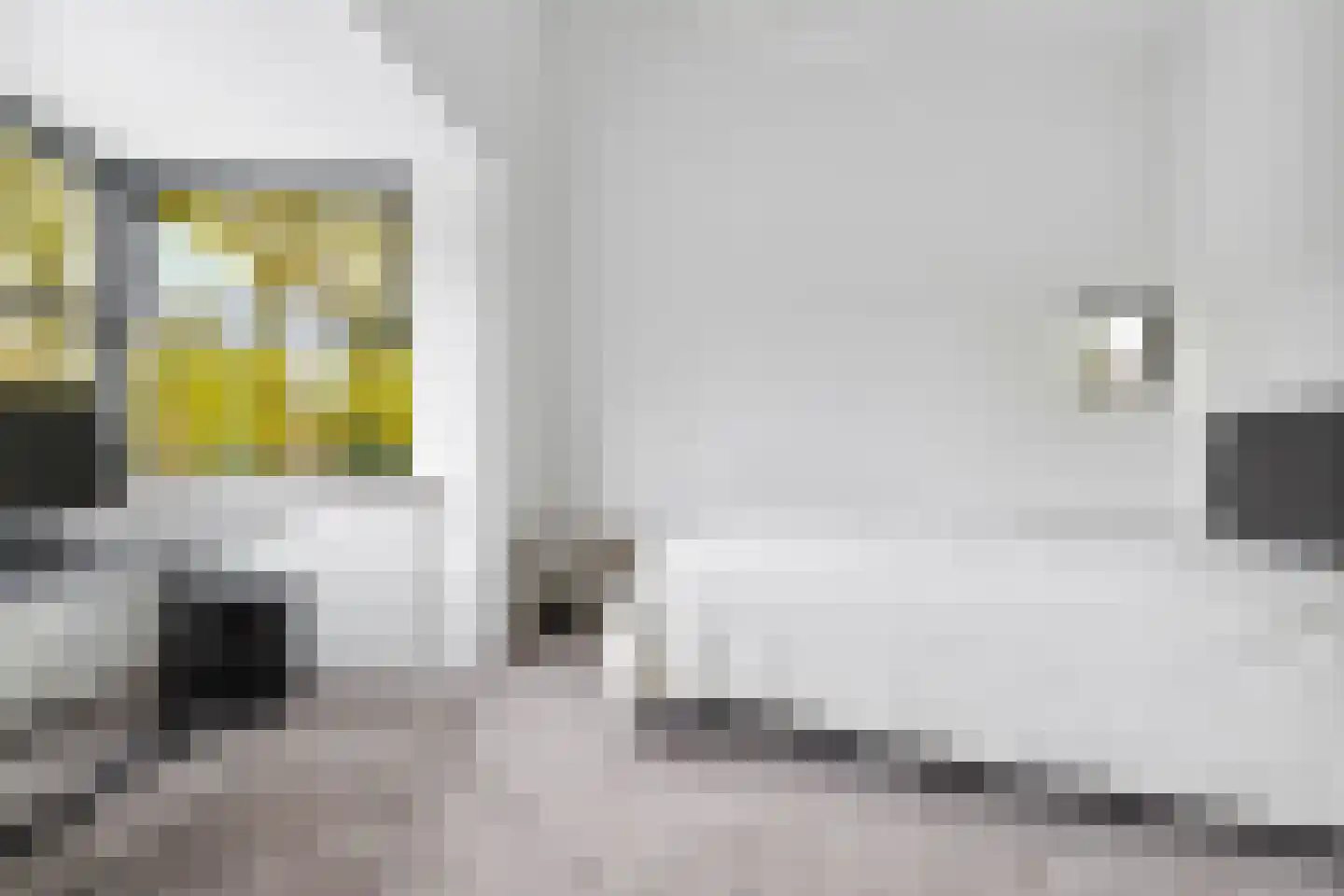 Veenmos 2 Veenendaal thumbnail 37