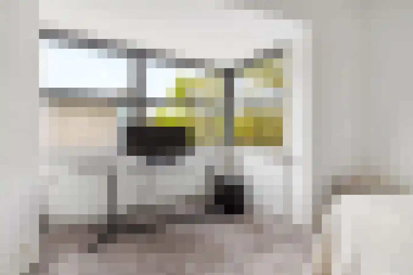 Veenmos 2 Veenendaal thumbnail 38