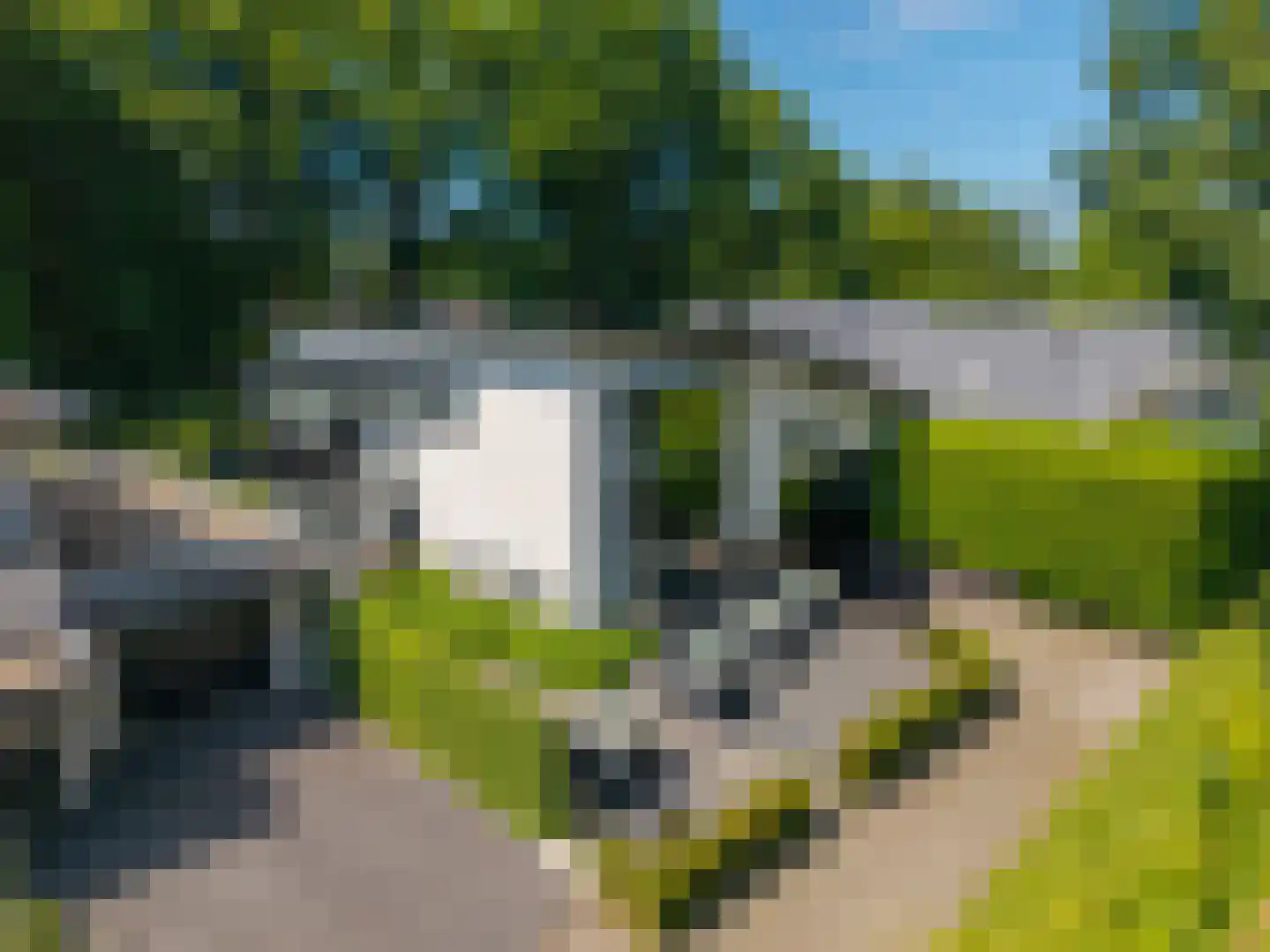Veenmos 2 Veenendaal thumbnail 4