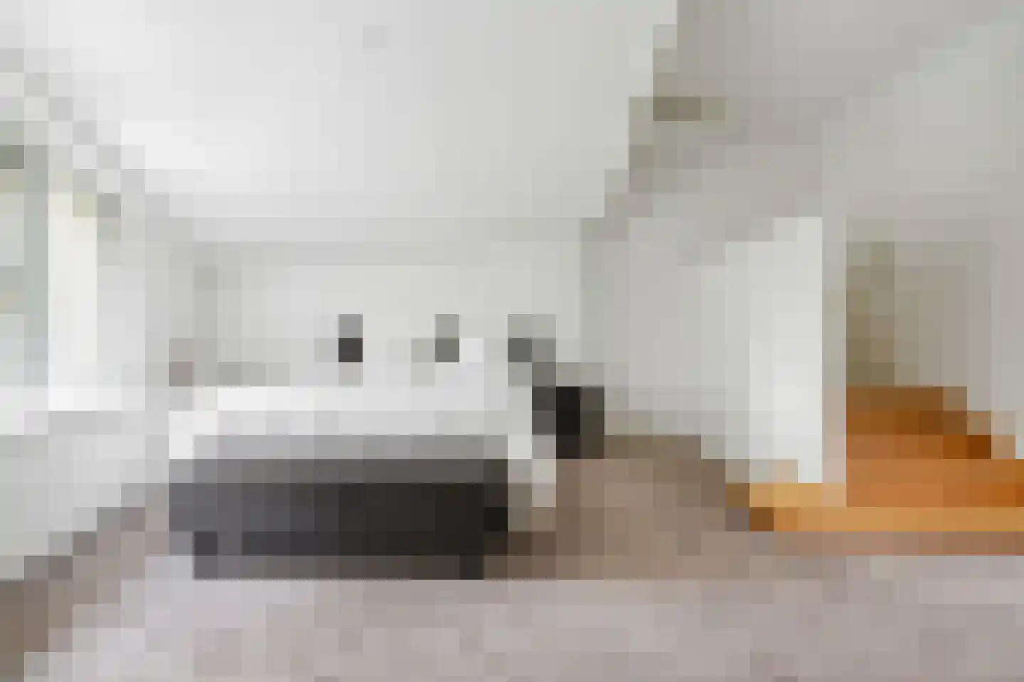 Veenmos 2 Veenendaal thumbnail 41