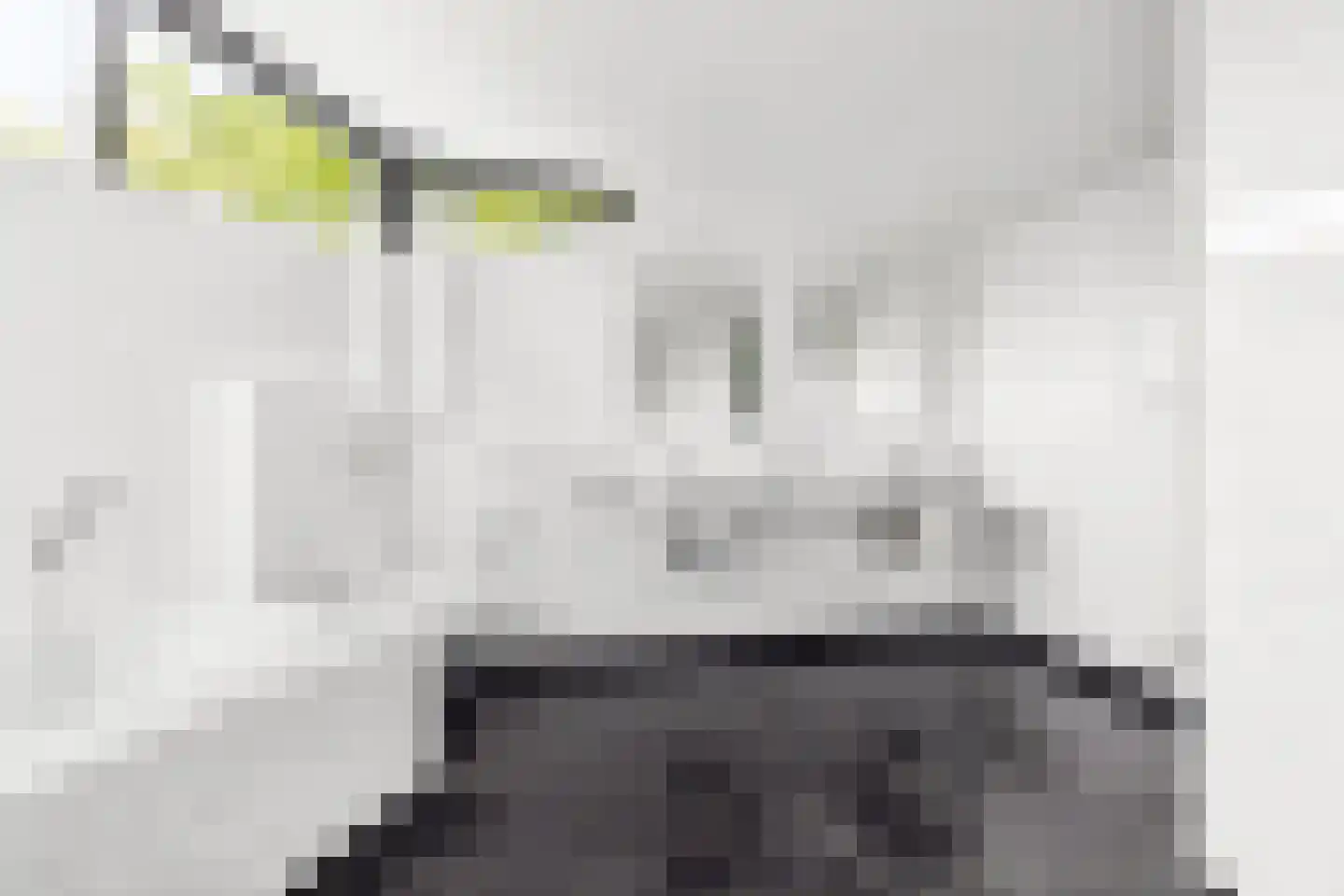 Veenmos 2 Veenendaal thumbnail 45