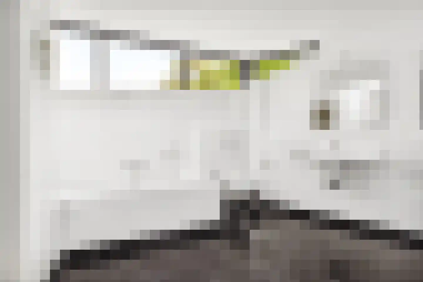 Veenmos 2 Veenendaal thumbnail 46