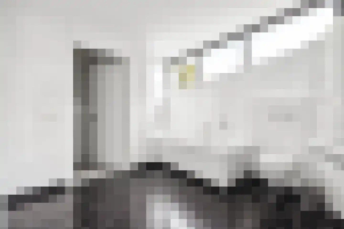 Veenmos 2 Veenendaal thumbnail 47