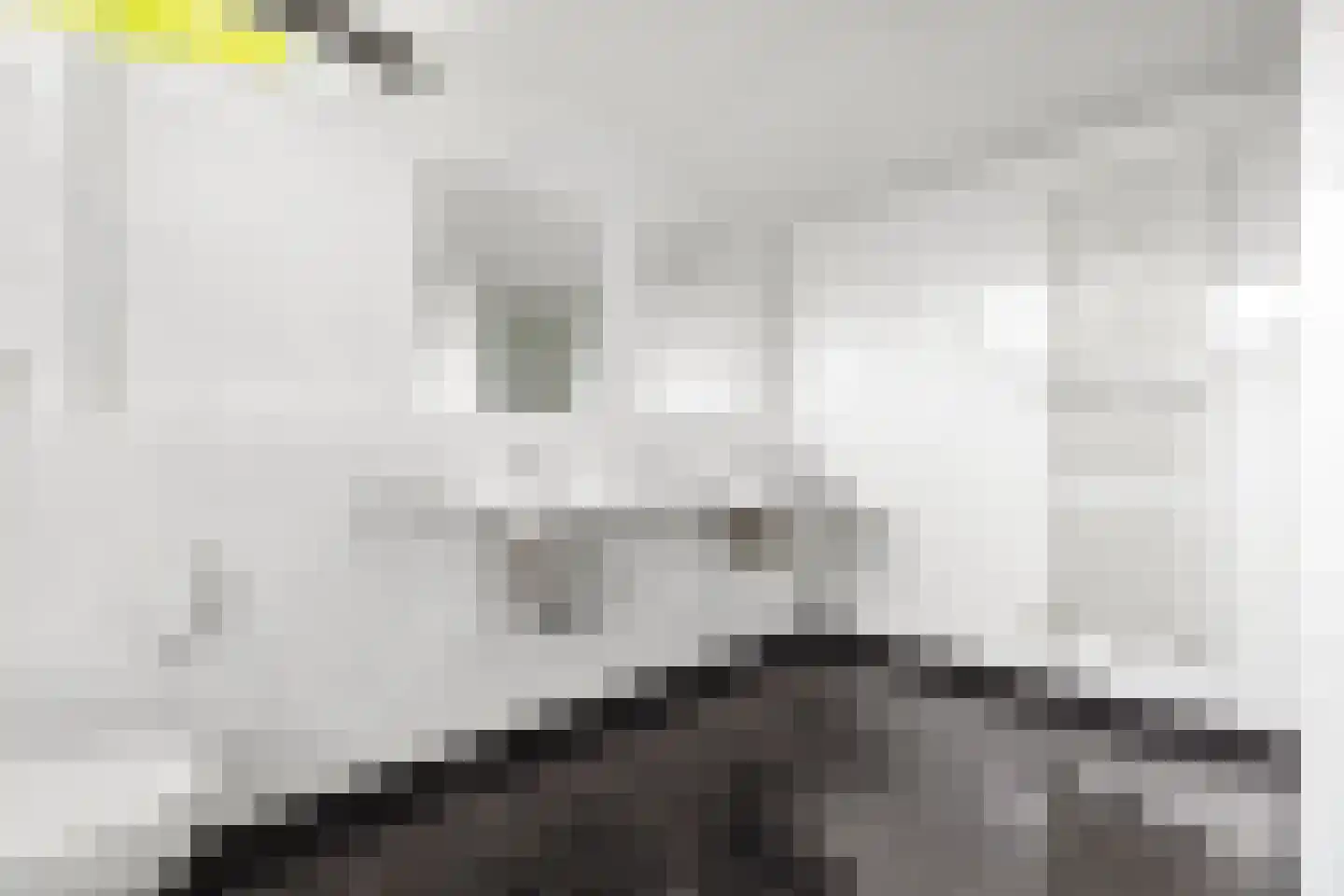 Veenmos 2 Veenendaal thumbnail 49