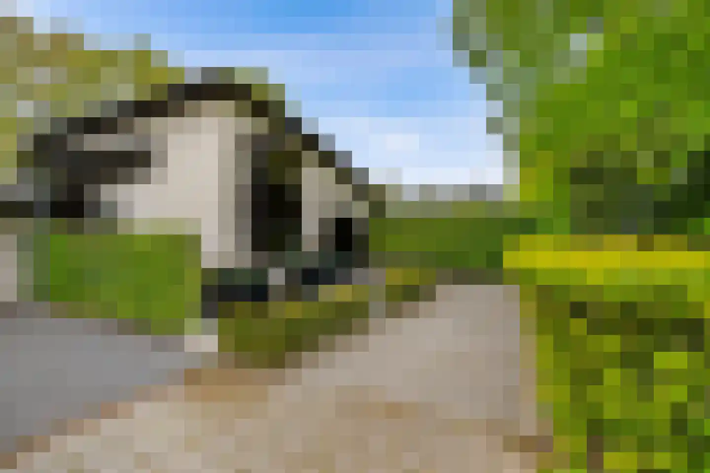 Veenmos 2 Veenendaal thumbnail 5