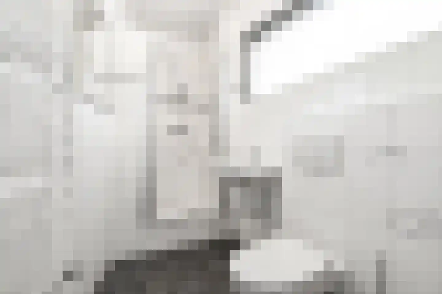 Veenmos 2 Veenendaal thumbnail 50