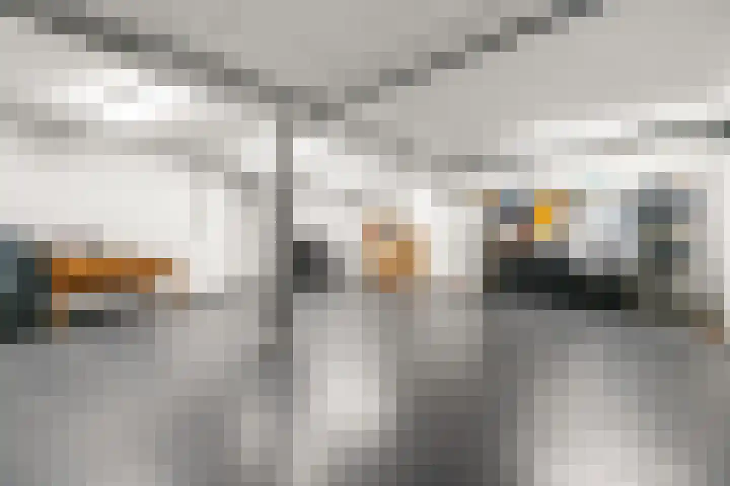 Veenmos 2 Veenendaal thumbnail 53