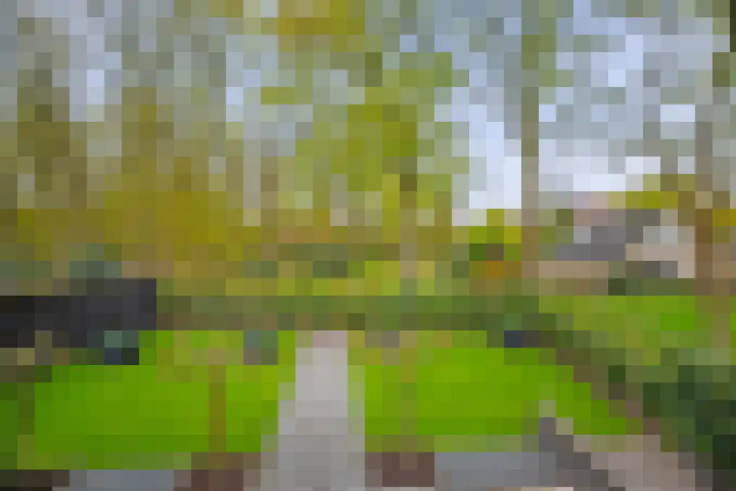 Veenmos 2 Veenendaal thumbnail 56