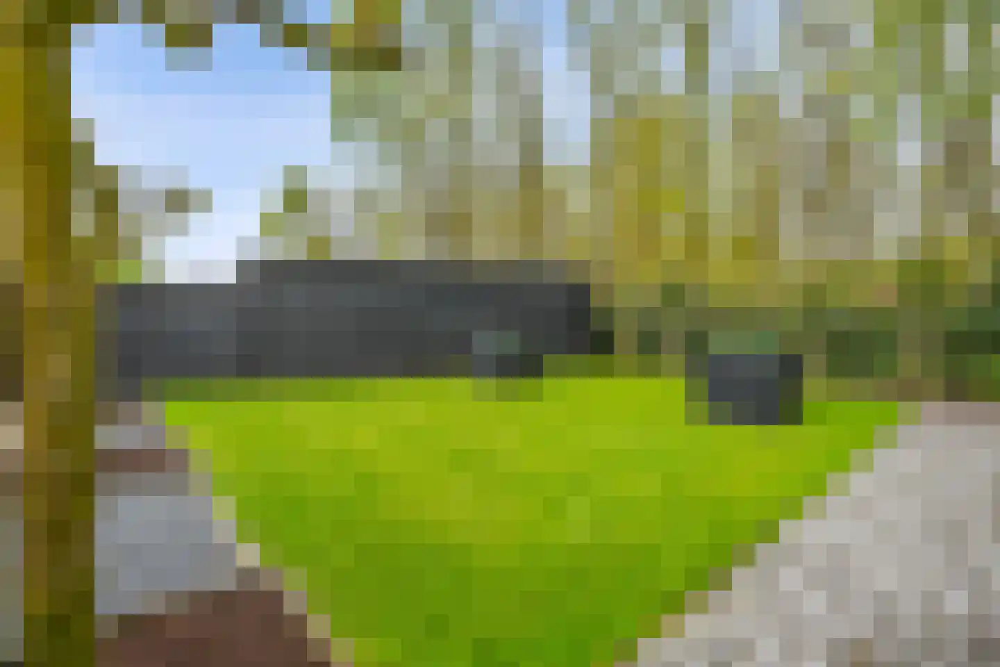 Veenmos 2 Veenendaal thumbnail 58