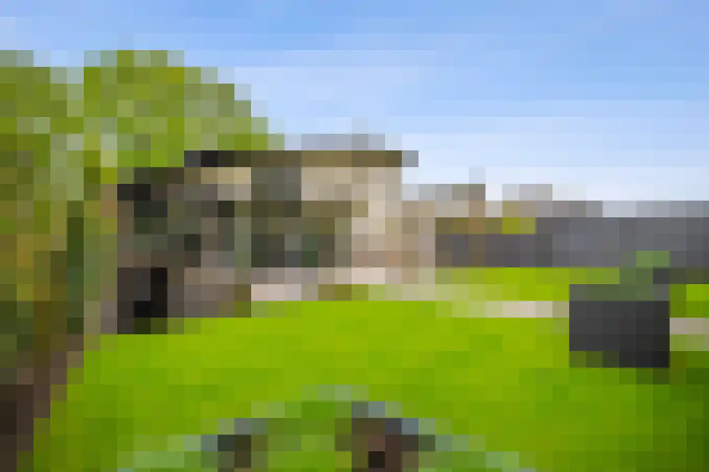 Veenmos 2 Veenendaal thumbnail 59