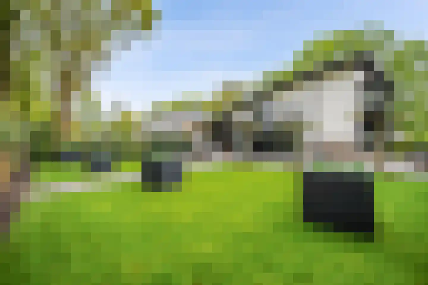 Veenmos 2 Veenendaal thumbnail 6