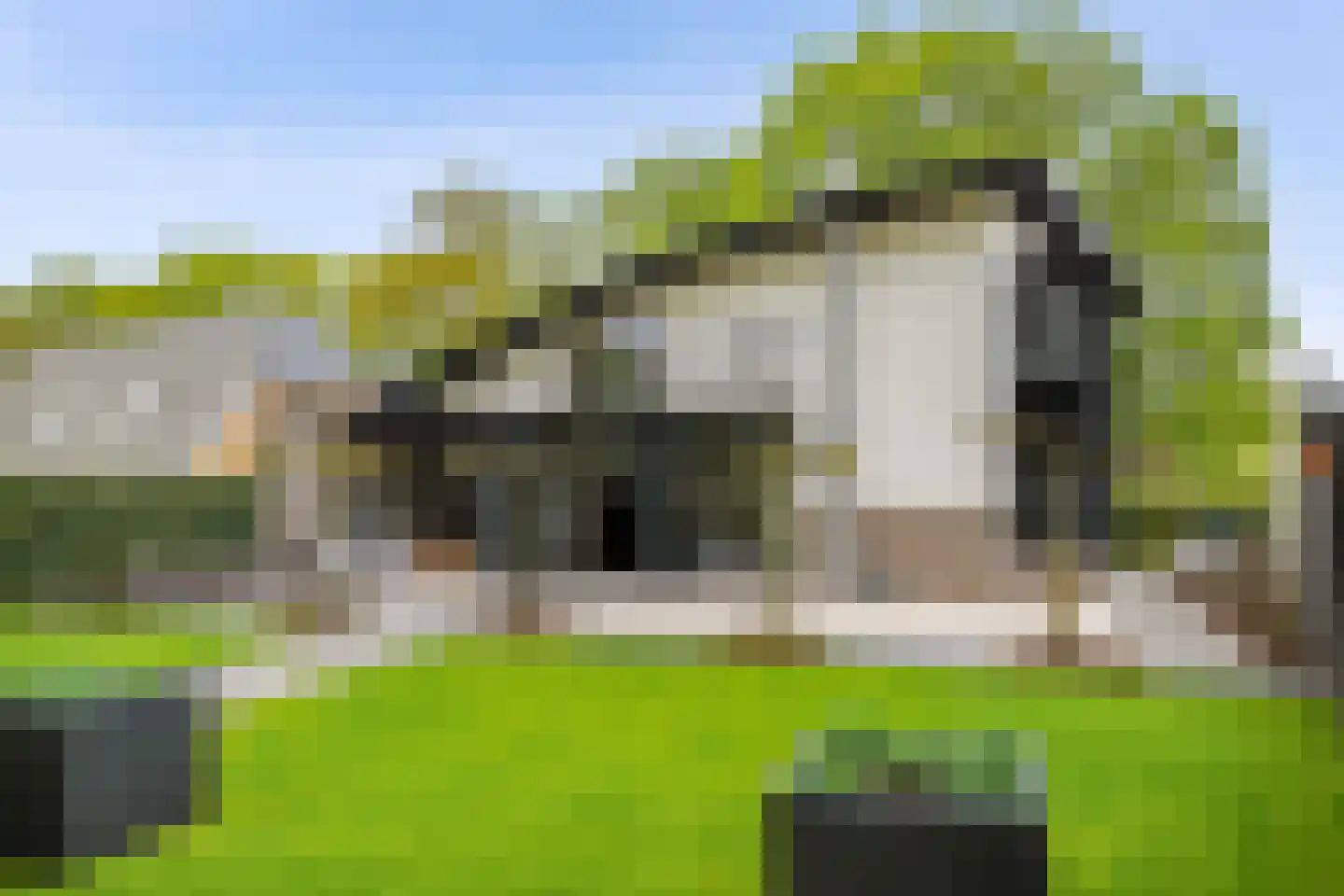 Veenmos 2 Veenendaal thumbnail 60