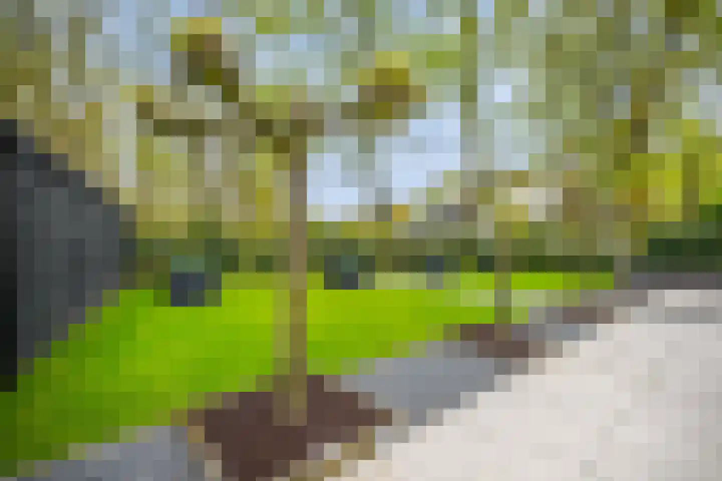 Veenmos 2 Veenendaal thumbnail 61