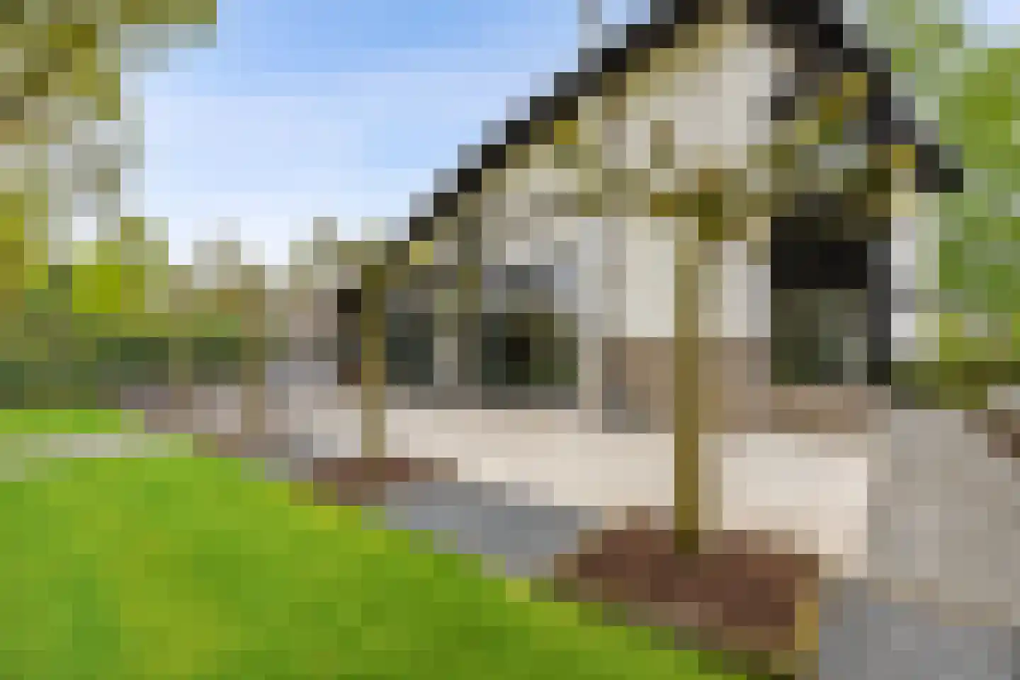 Veenmos 2 Veenendaal thumbnail 62