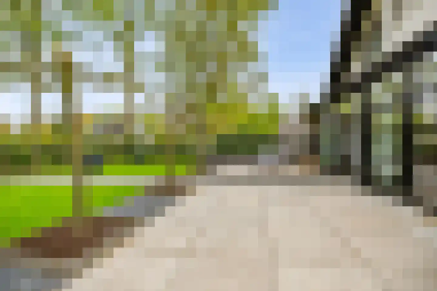 Veenmos 2 Veenendaal thumbnail 65