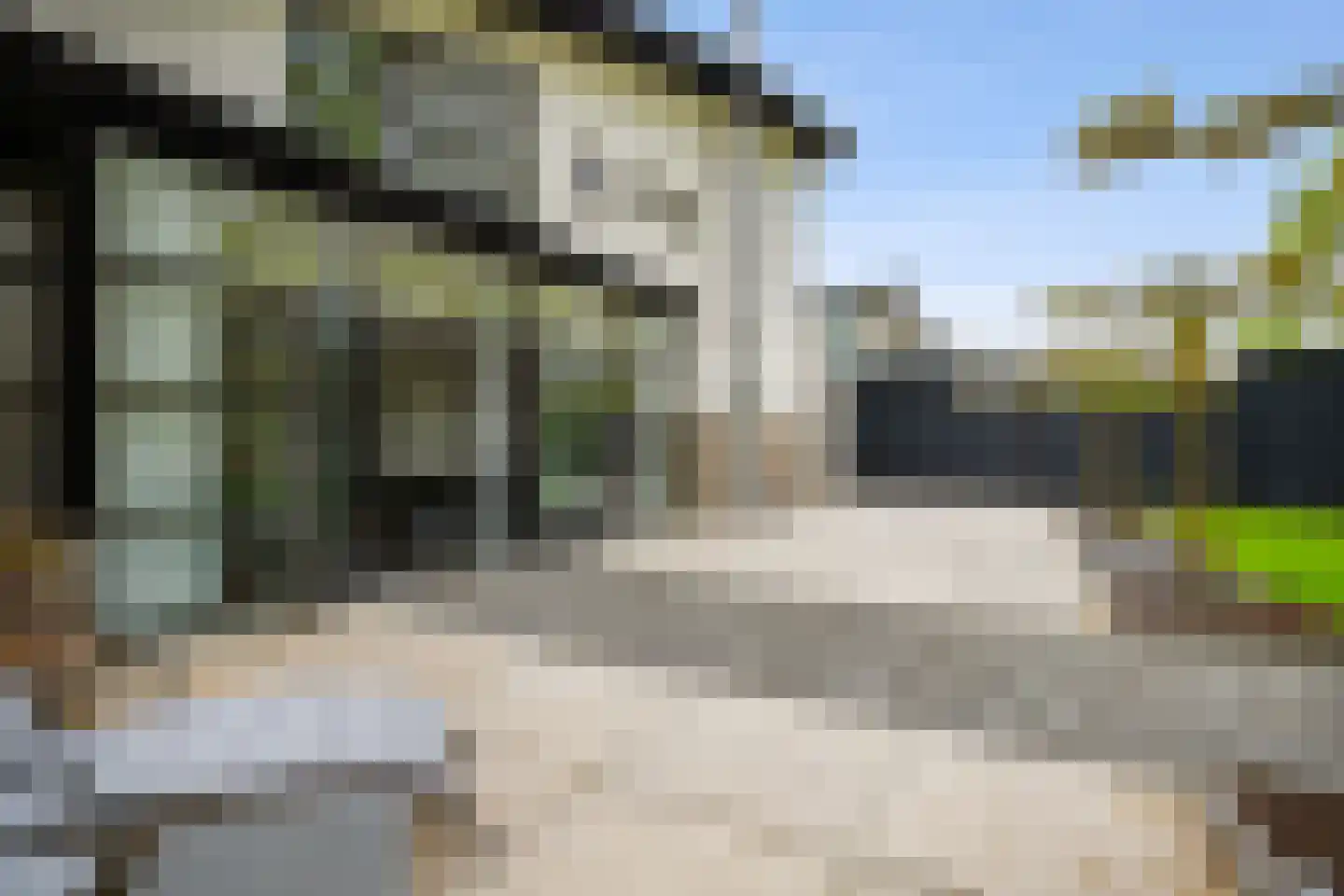 Veenmos 2 Veenendaal thumbnail 66