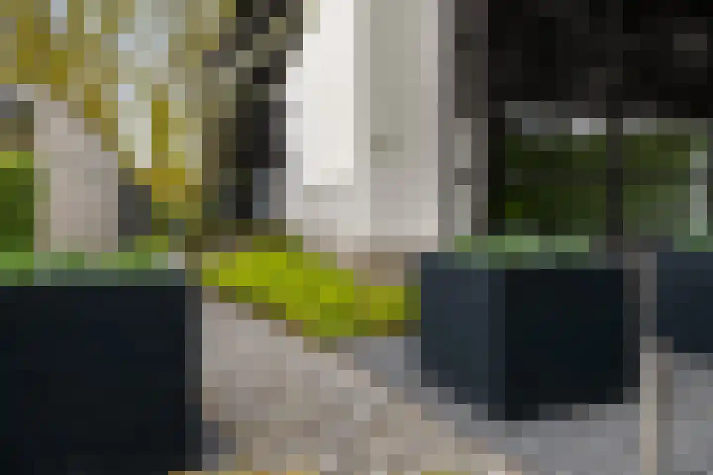 Veenmos 2 Veenendaal thumbnail 68