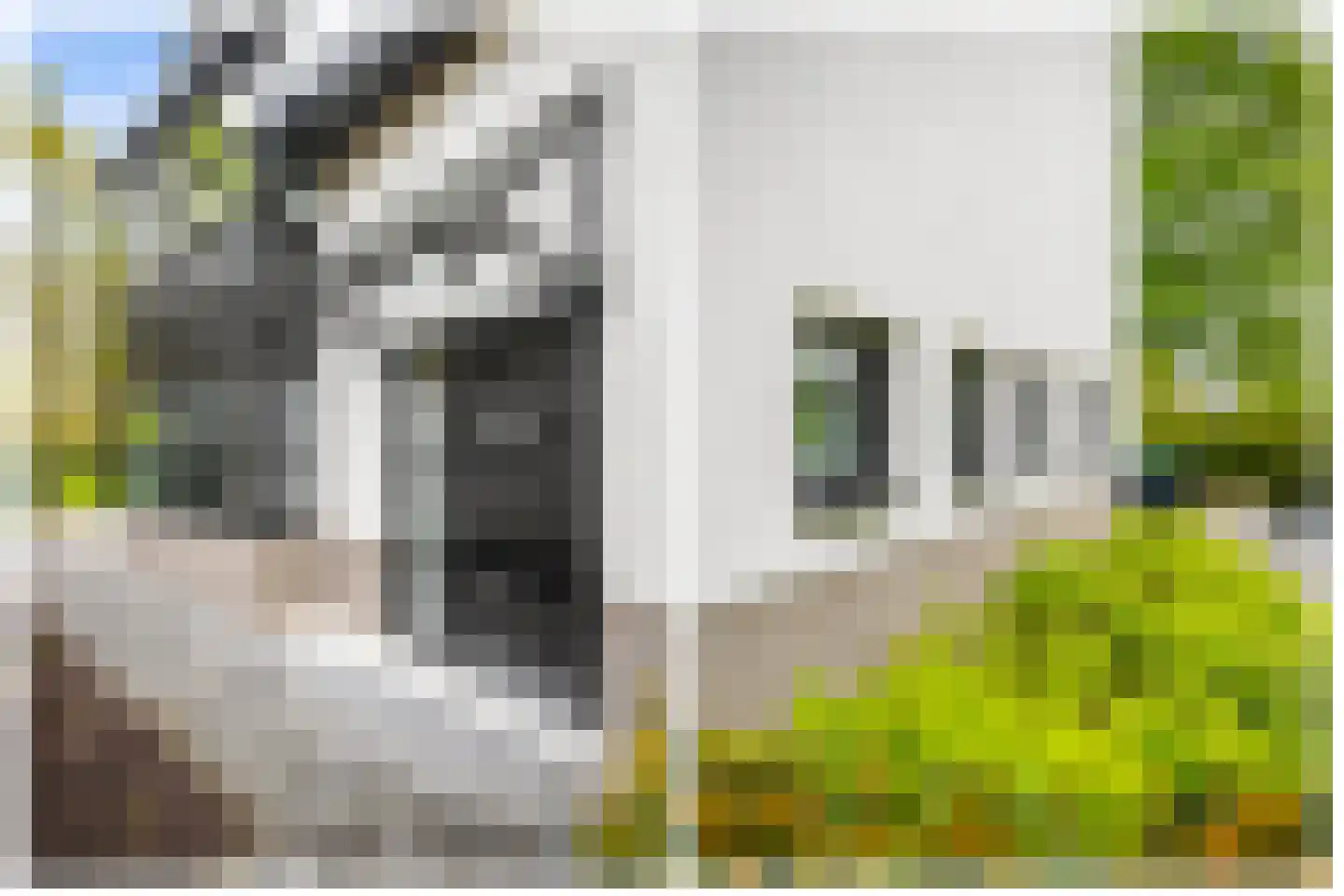 Veenmos 2 Veenendaal thumbnail 7