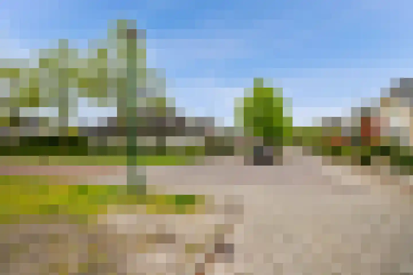 Veenmos 2 Veenendaal thumbnail 73
