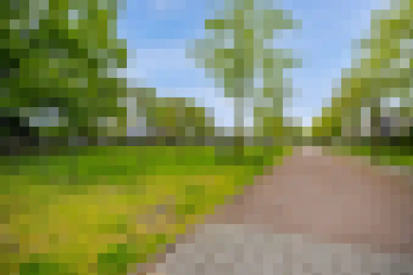 Veenmos 2 Veenendaal thumbnail 74