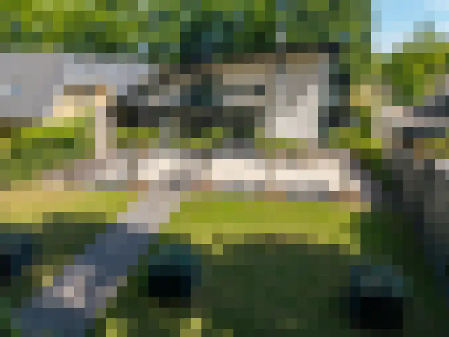 Veenmos 2 Veenendaal thumbnail 75