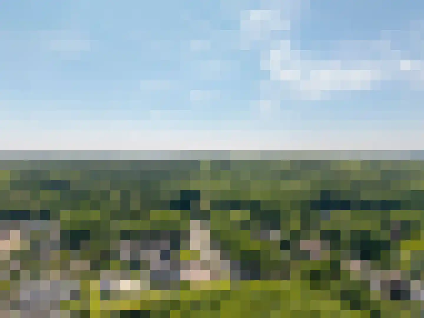 Veenmos 2 Veenendaal thumbnail 77
