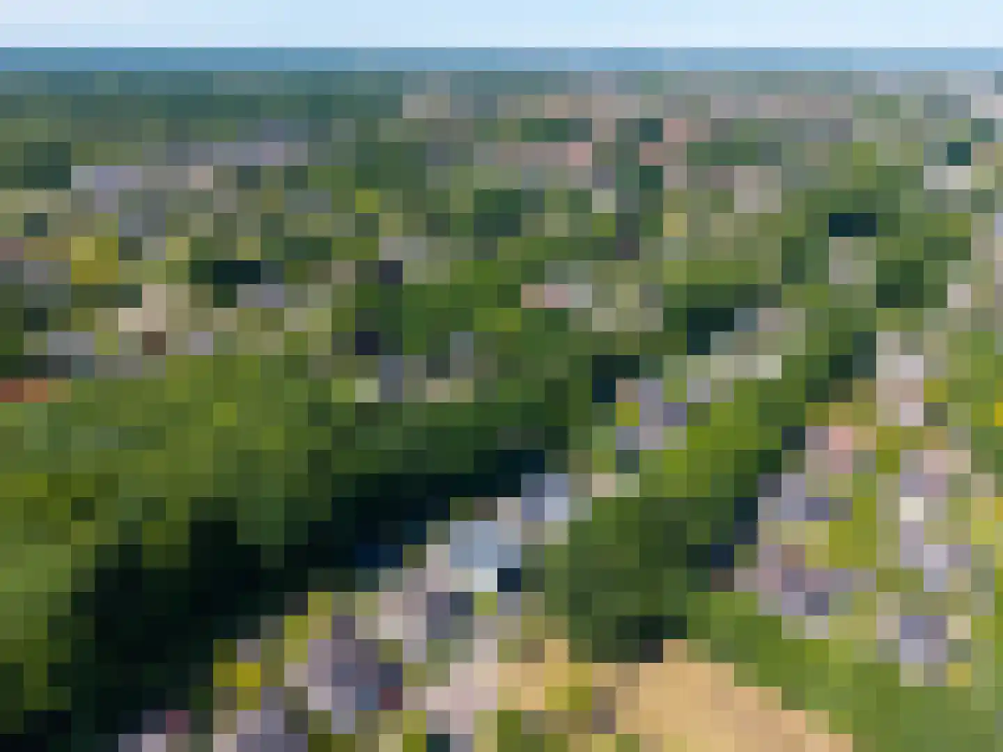 Veenmos 2 Veenendaal thumbnail 78