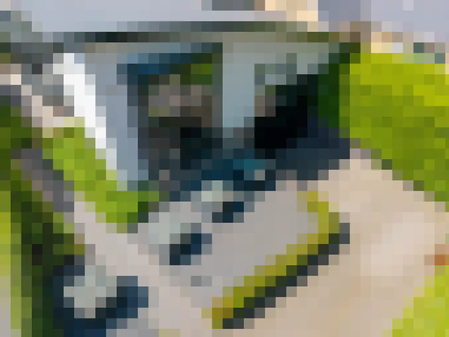Veenmos 2 Veenendaal thumbnail 79