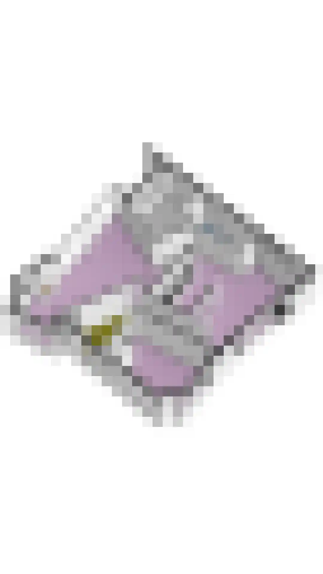Veenmos 2 Veenendaal thumbnail 83