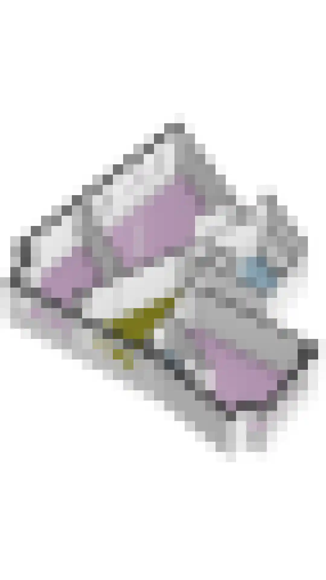 Veenmos 2 Veenendaal thumbnail 85