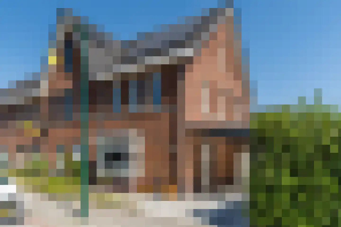 Veenmos 20 in Dongen
