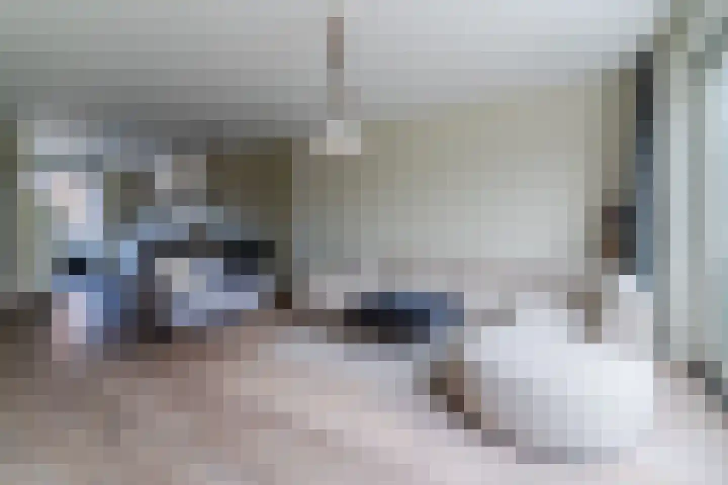 Veenmos 20 Dongen thumbnail 12